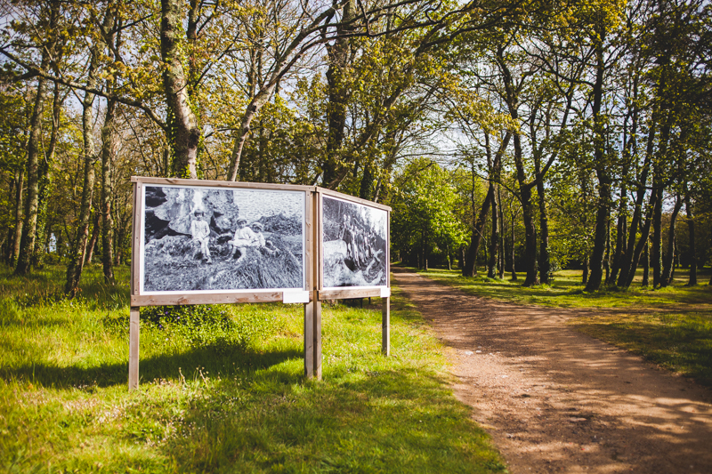 Château de Flamanville Expositions